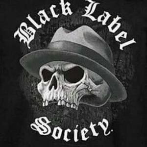 Meet your Posher, Paul